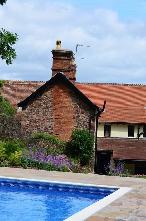 Castle Of Comfort Hotel Nether Stowey Extérieur photo