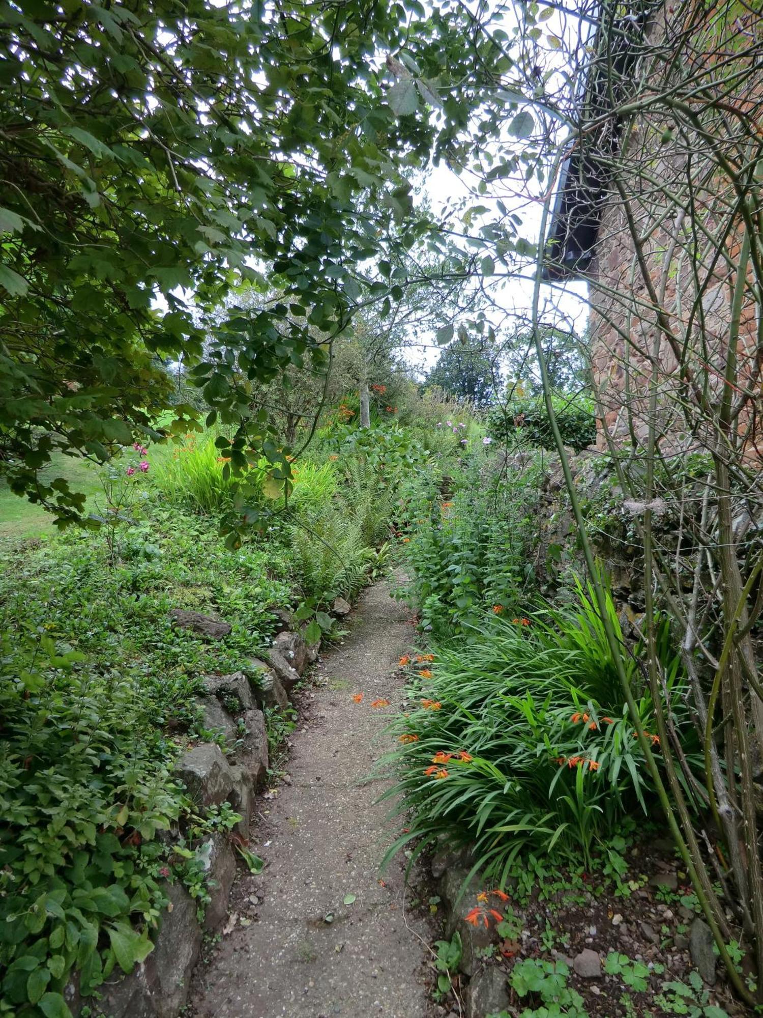 Castle Of Comfort Hotel Nether Stowey Extérieur photo